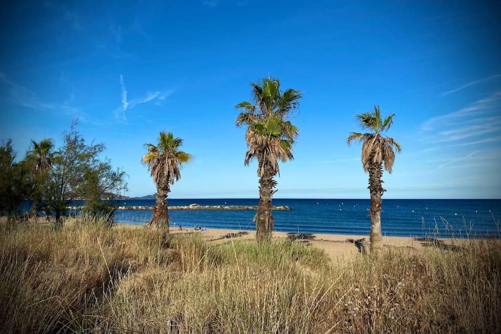 Port-frejus, Le Paladien, 2 Pieces Climatise, Terrasse & Parking * Frejus
