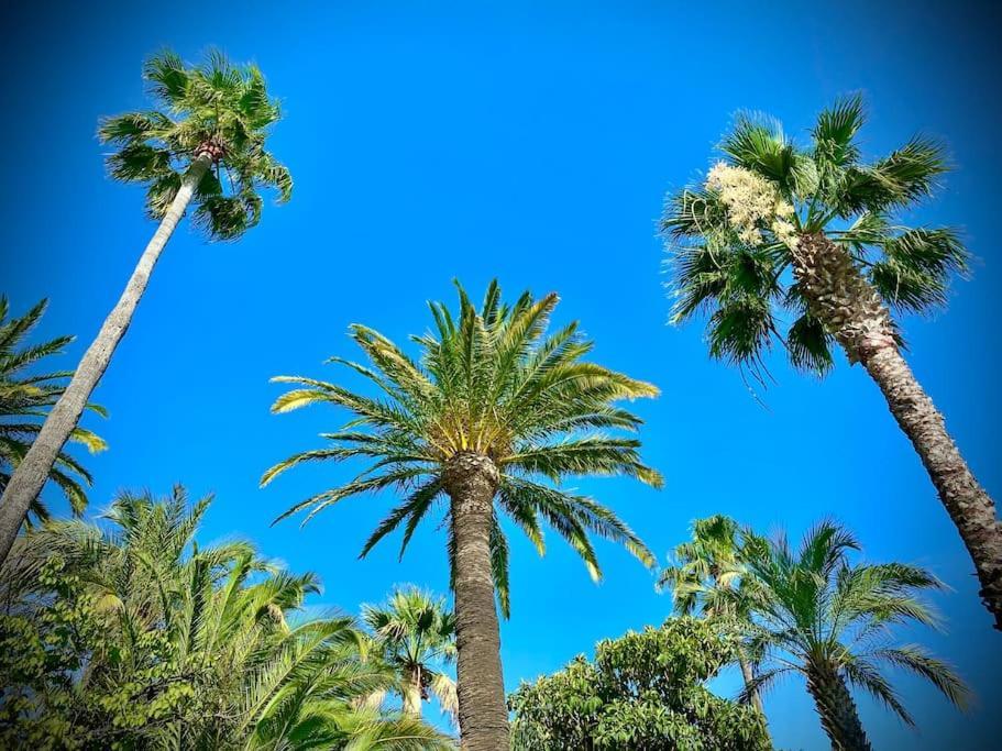 Port-frejus, Le Paladien, 2 Pieces Climatise, Terrasse & Parking Apartment